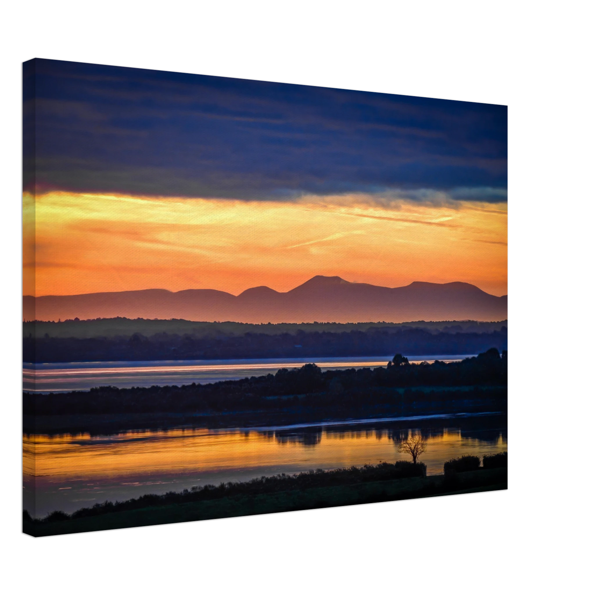 039bec95-95b0-4812-ac3c-edddf7a9ddee