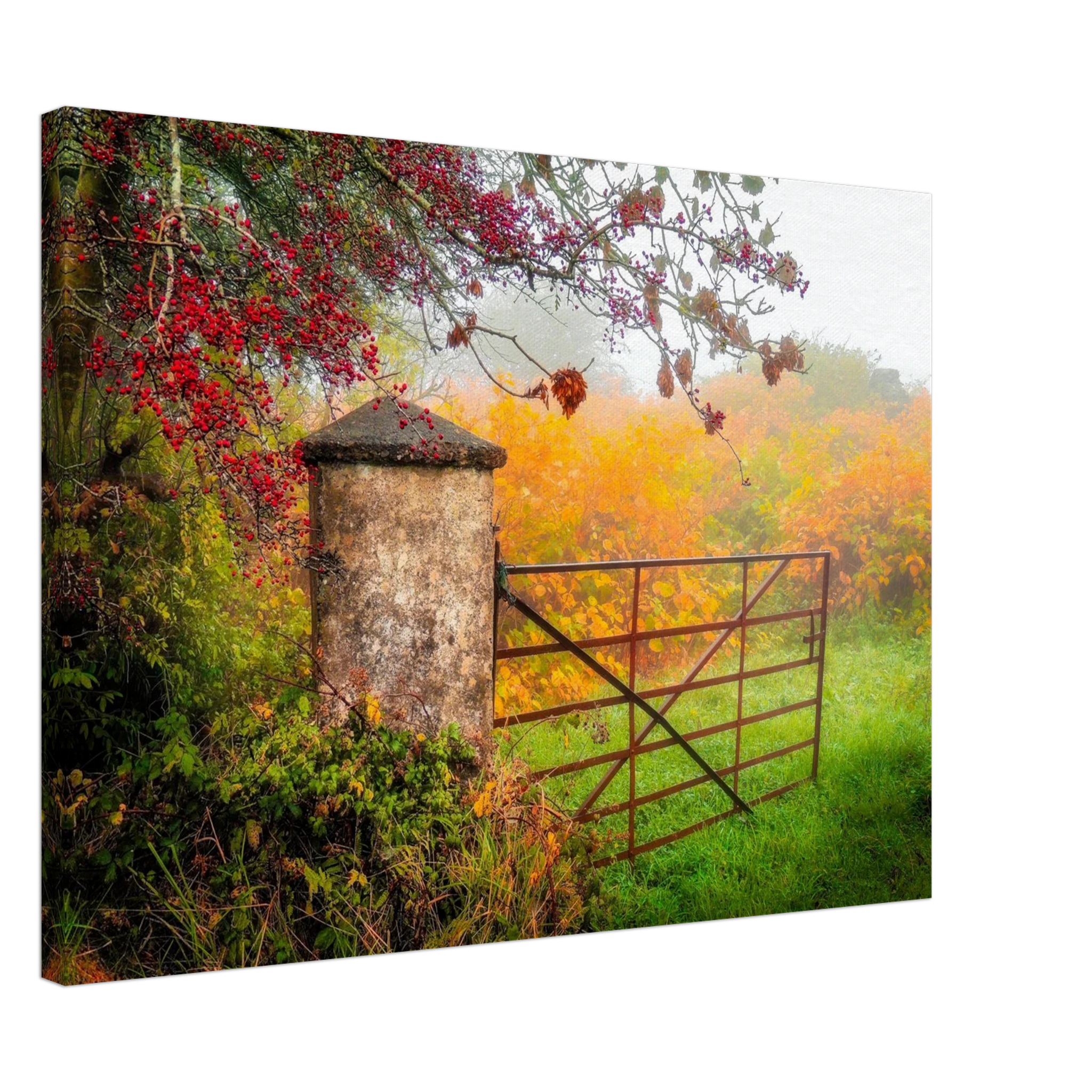 06e22251-bf20-4267-970c-2f9acffd3119