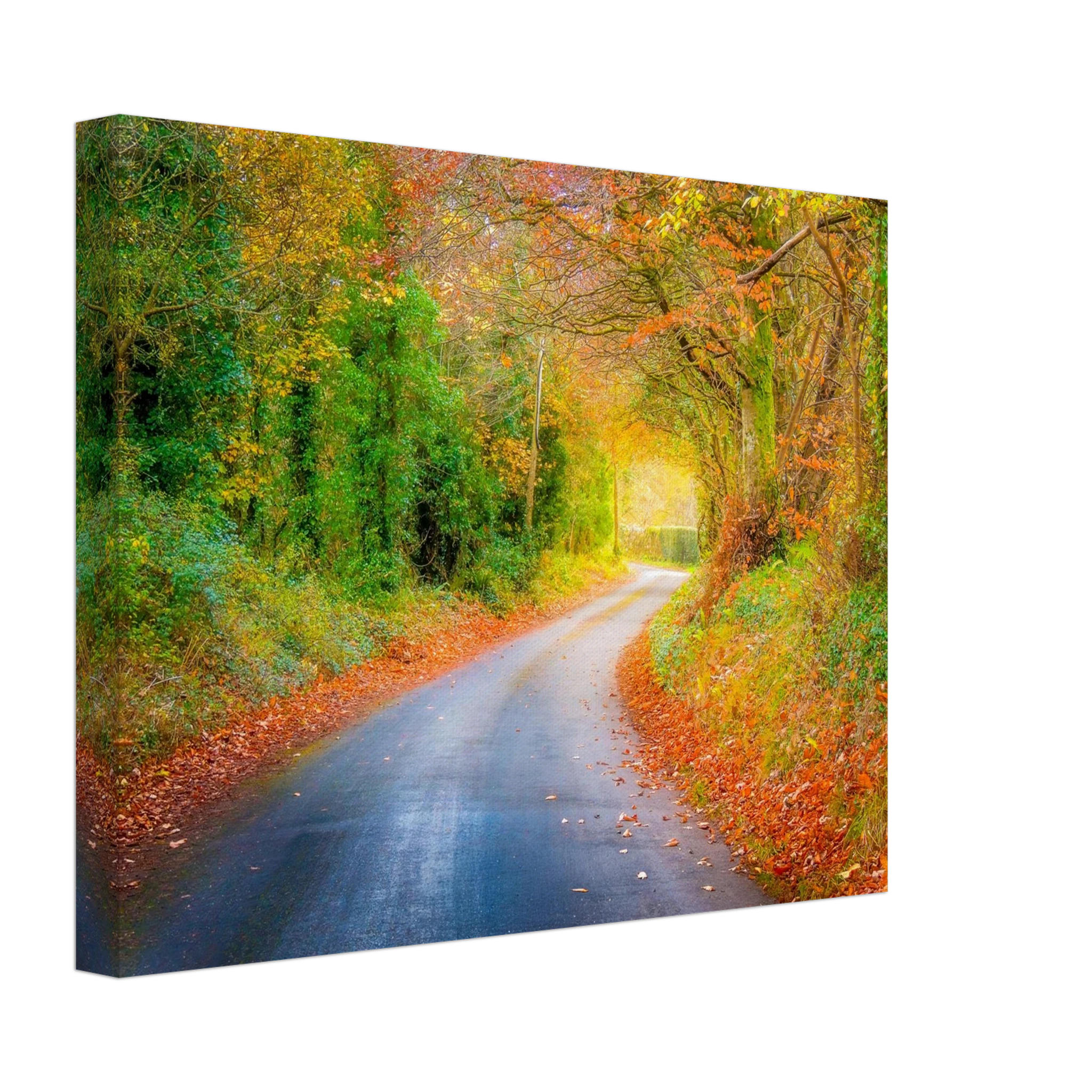 1d138148-dc16-4f63-a6cb-5a906590fee2