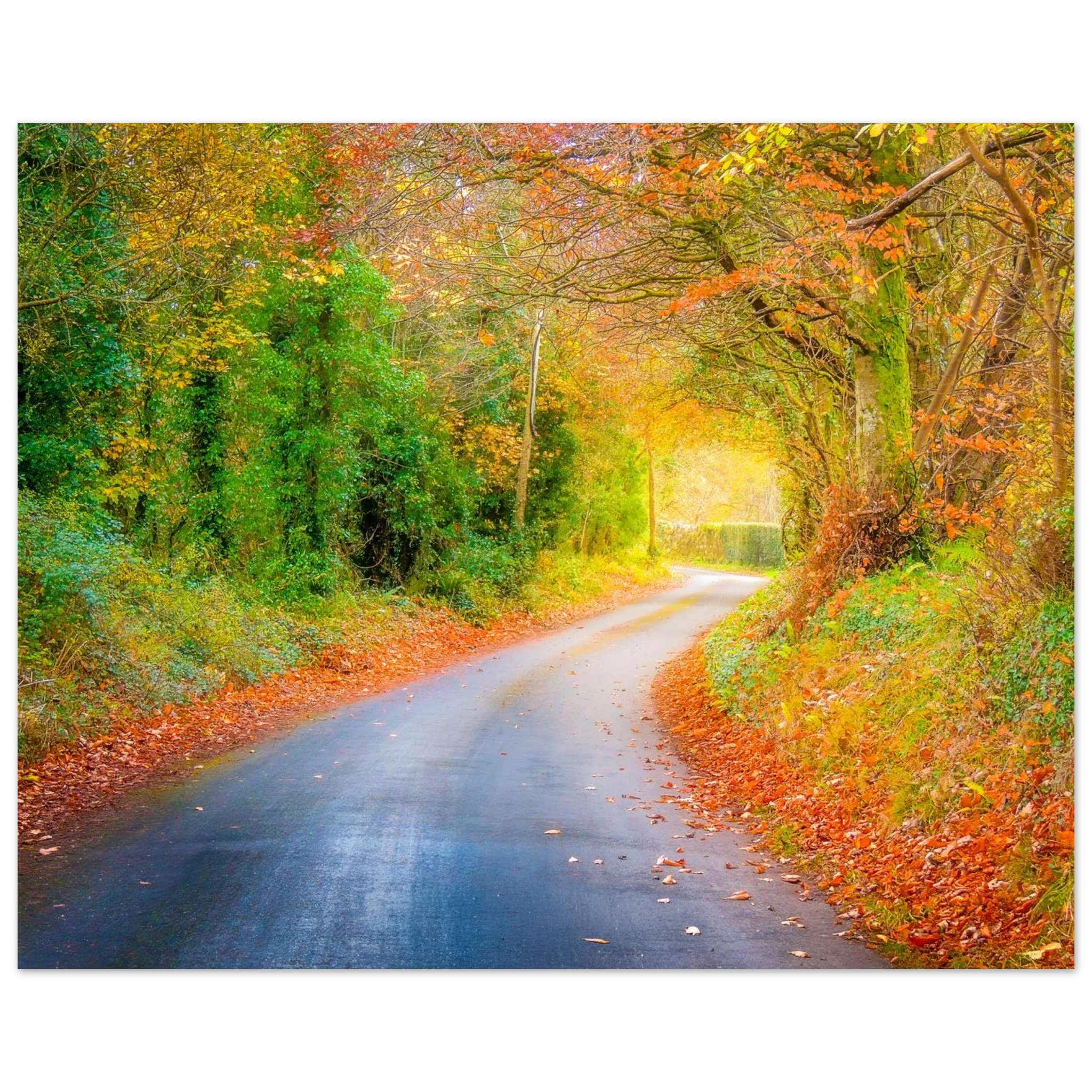 2531b018-aece-404f-892d-bdc600963bd2