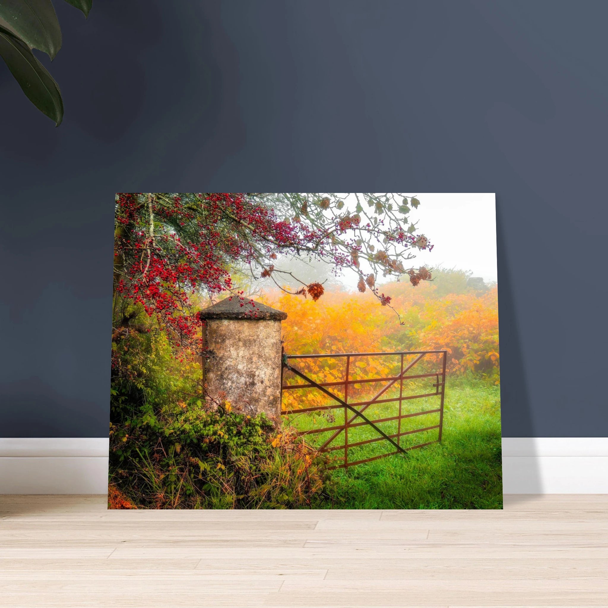 2a25c4ce-a3c4-4fb3-94d7-4e91ed1d1fd8