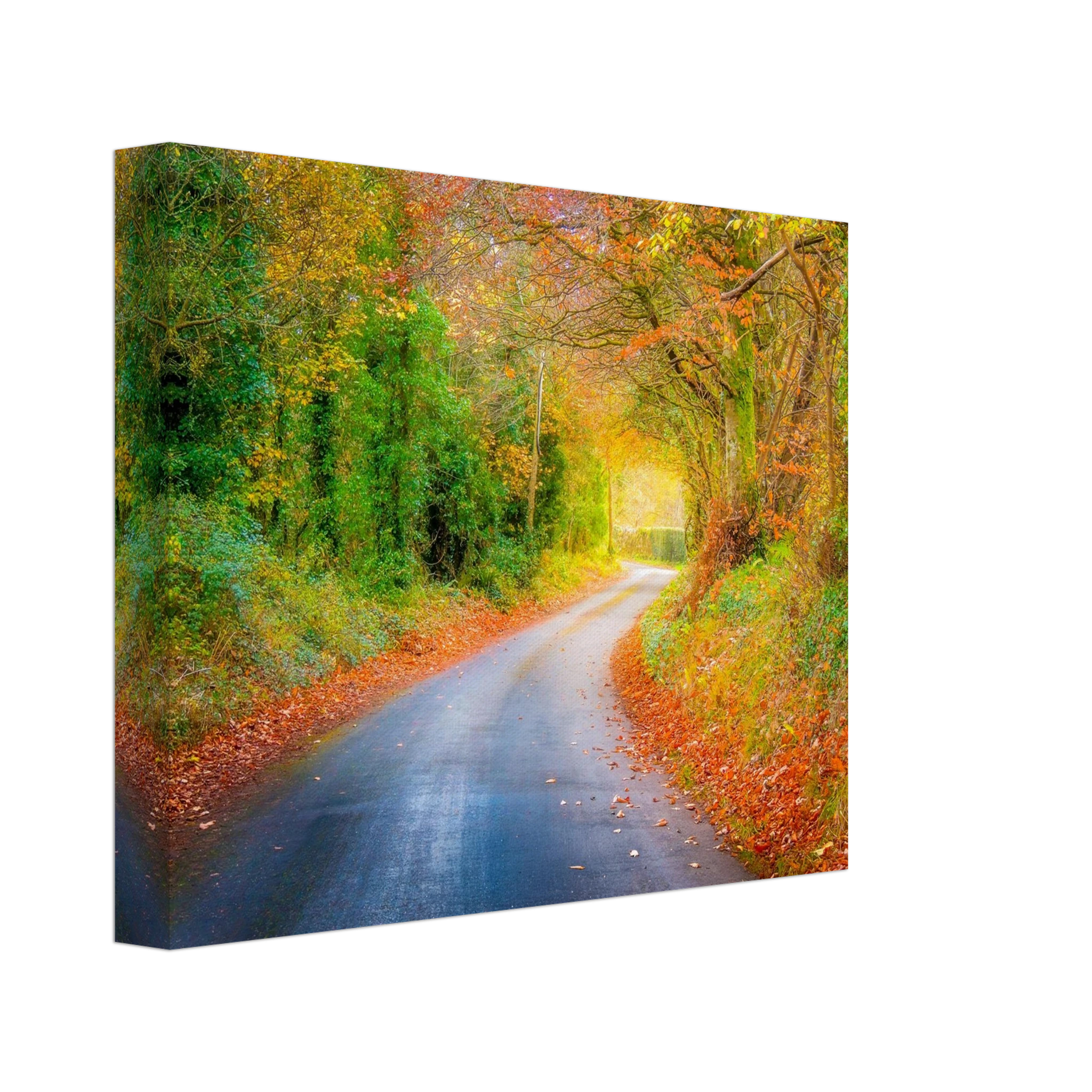 2b590dcc-8f9d-4b4f-8f87-bd022f06e927