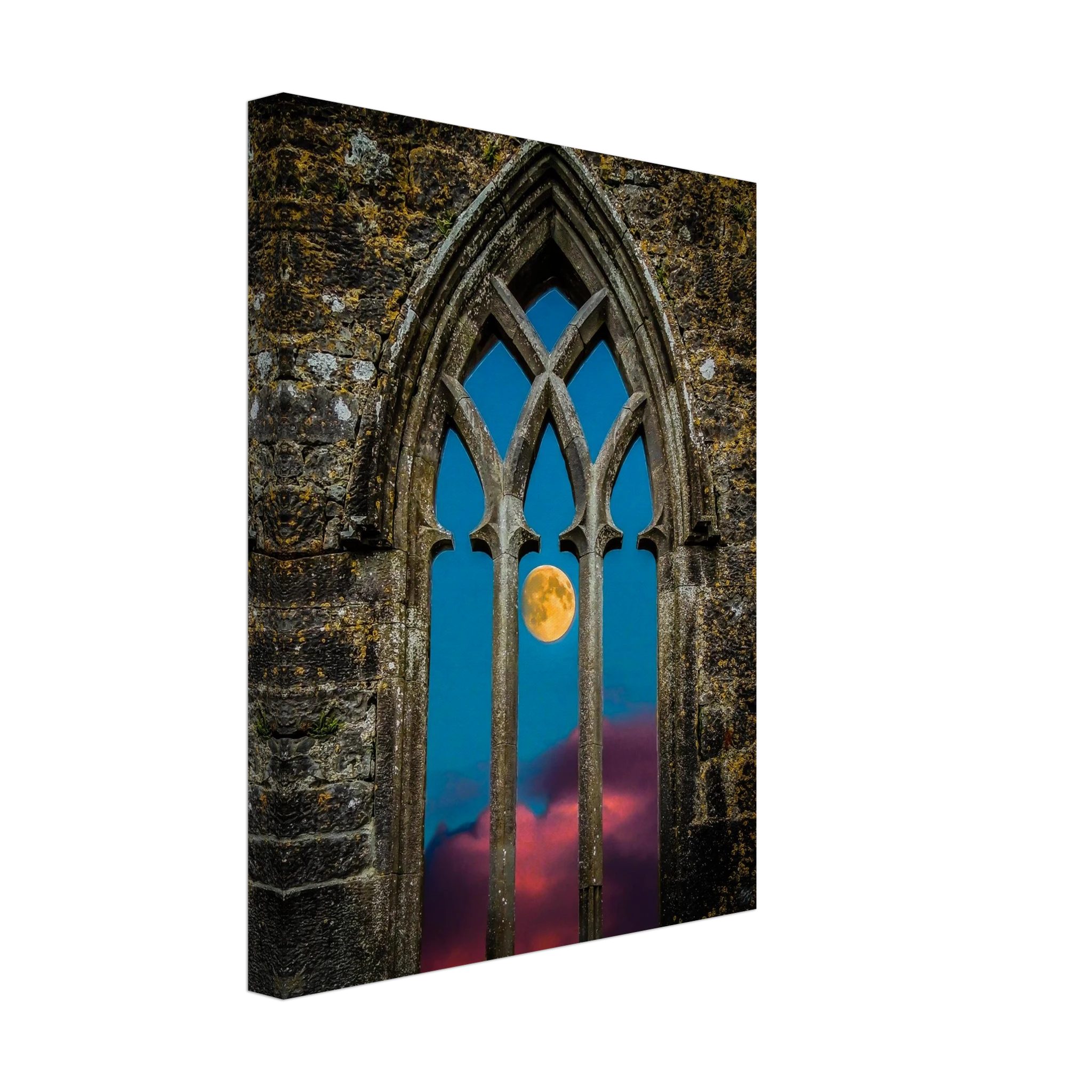 5204c31b-6d62-4532-9dff-9e32758421cf