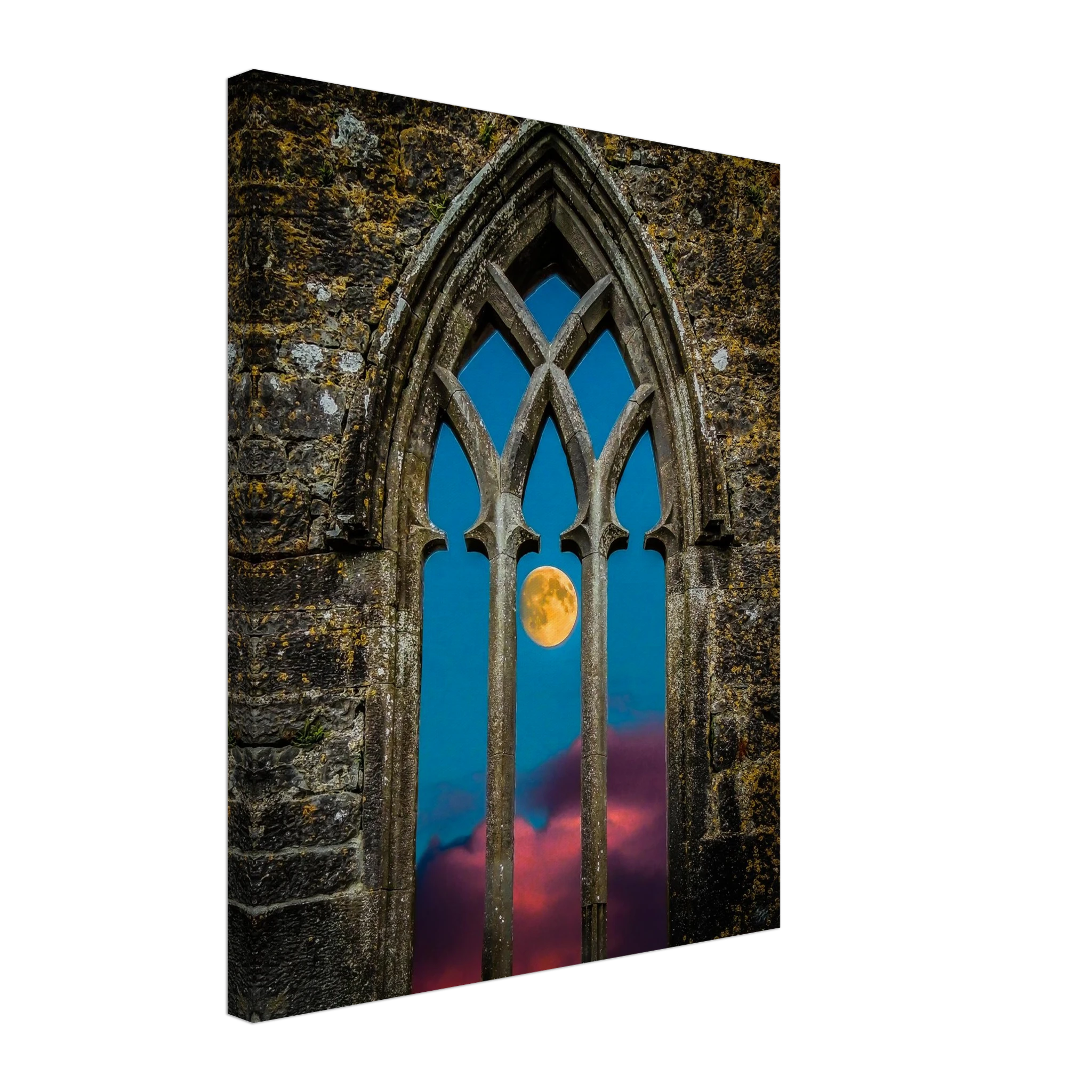 650da898-030d-4945-9e12-b31665395975