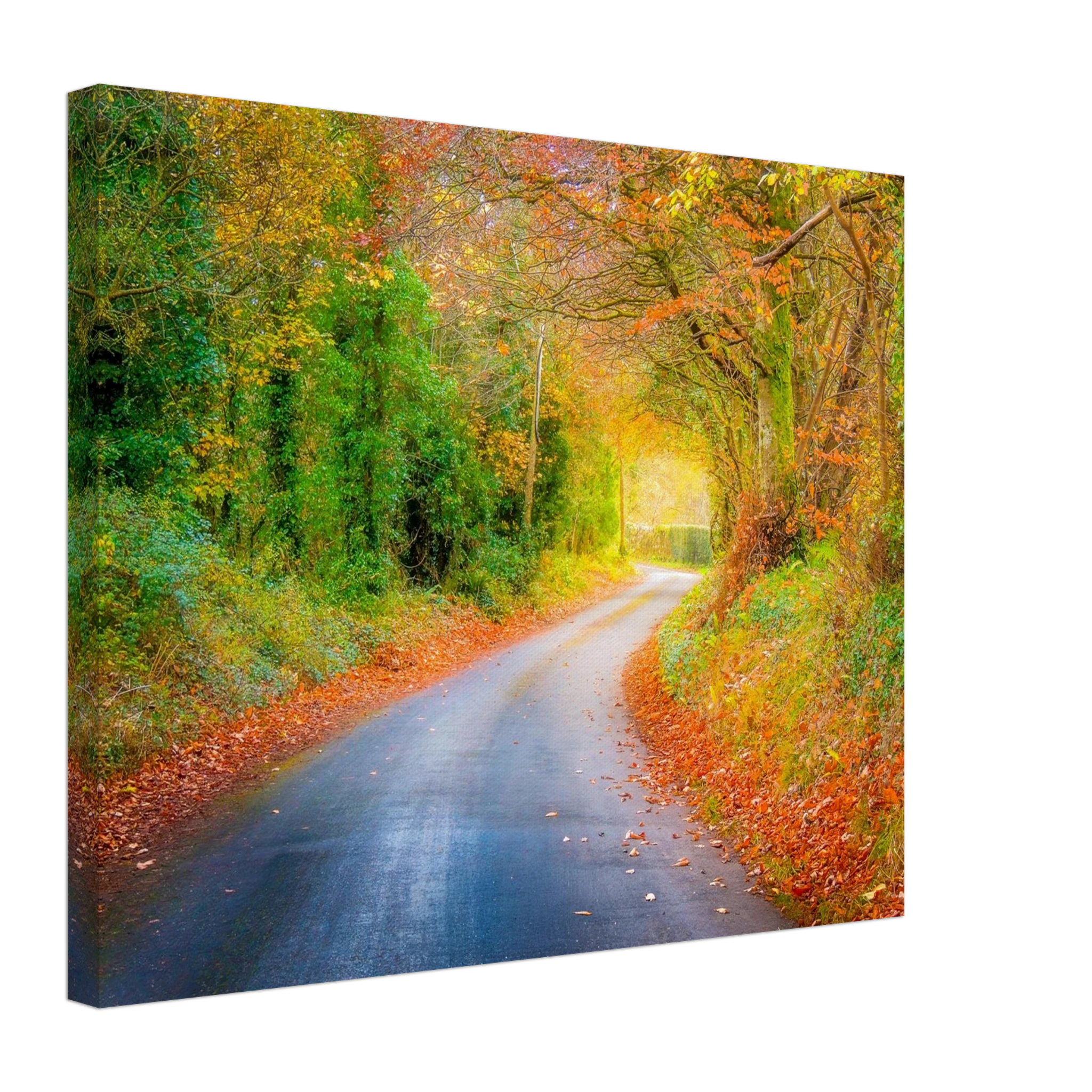 7a5f2407-f01d-4a9b-926d-8f290cebe5f6