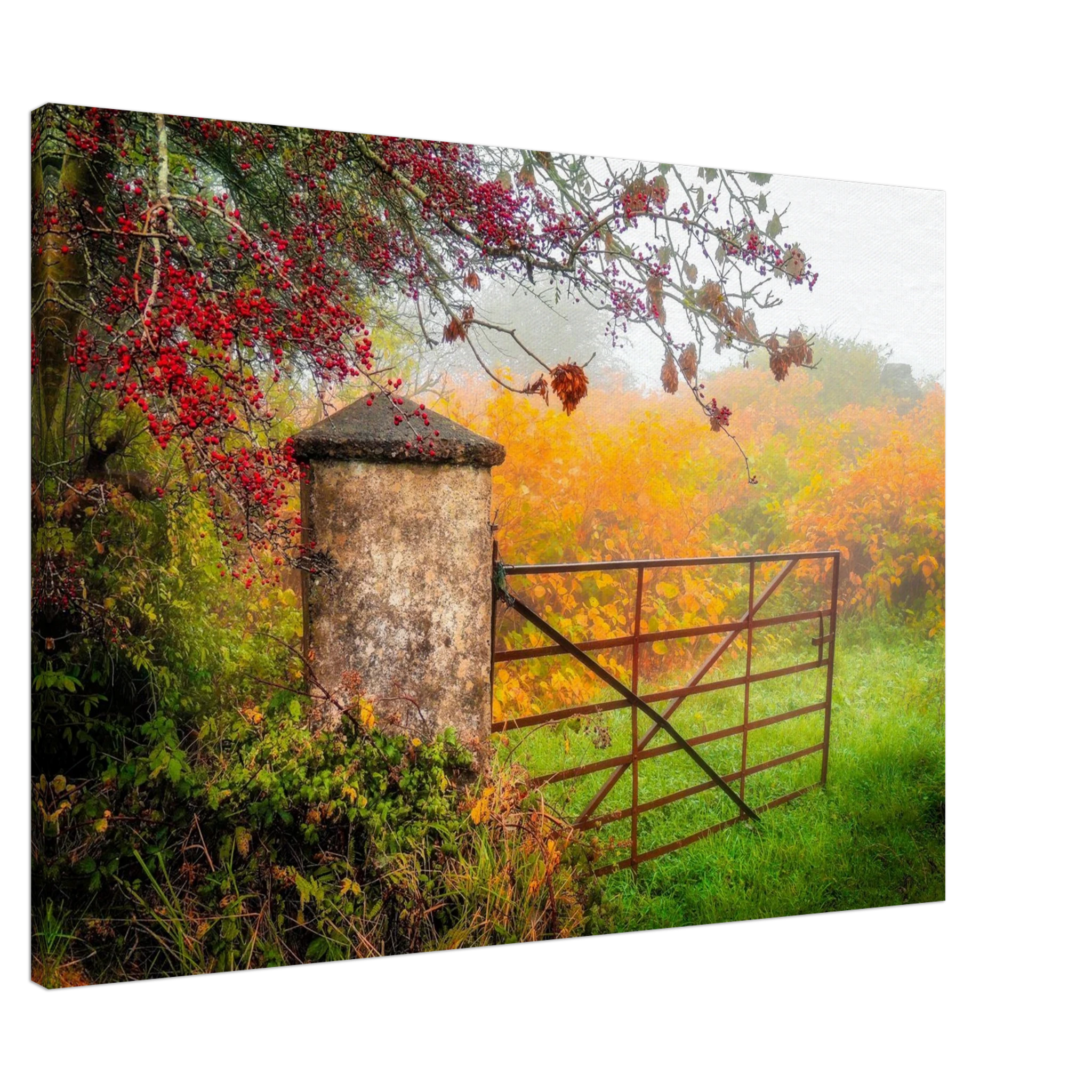 7c746f75-9785-4e1b-91b2-8c66cb8c913a