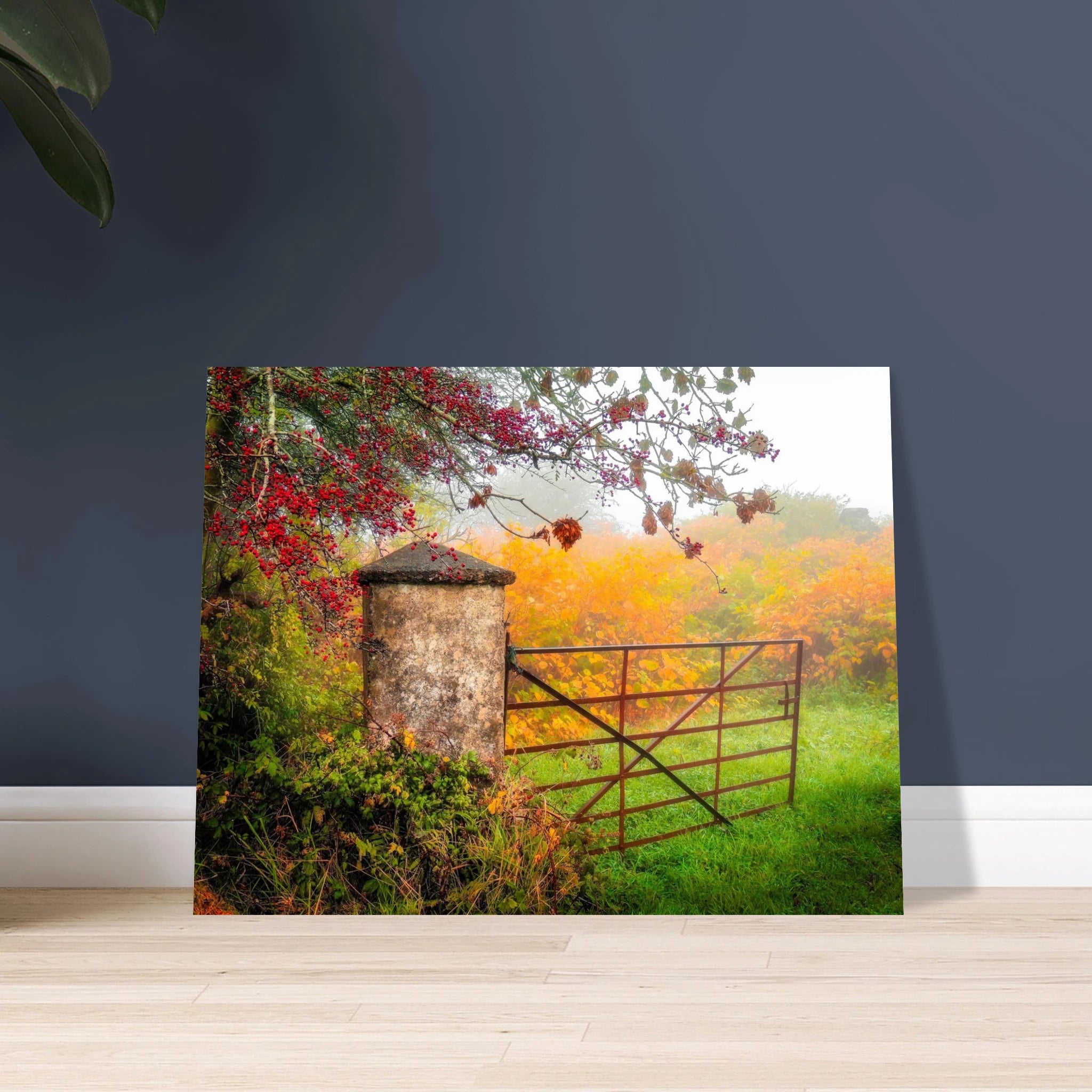 7ee85937-ce40-42bd-bbff-33d581d0ce17