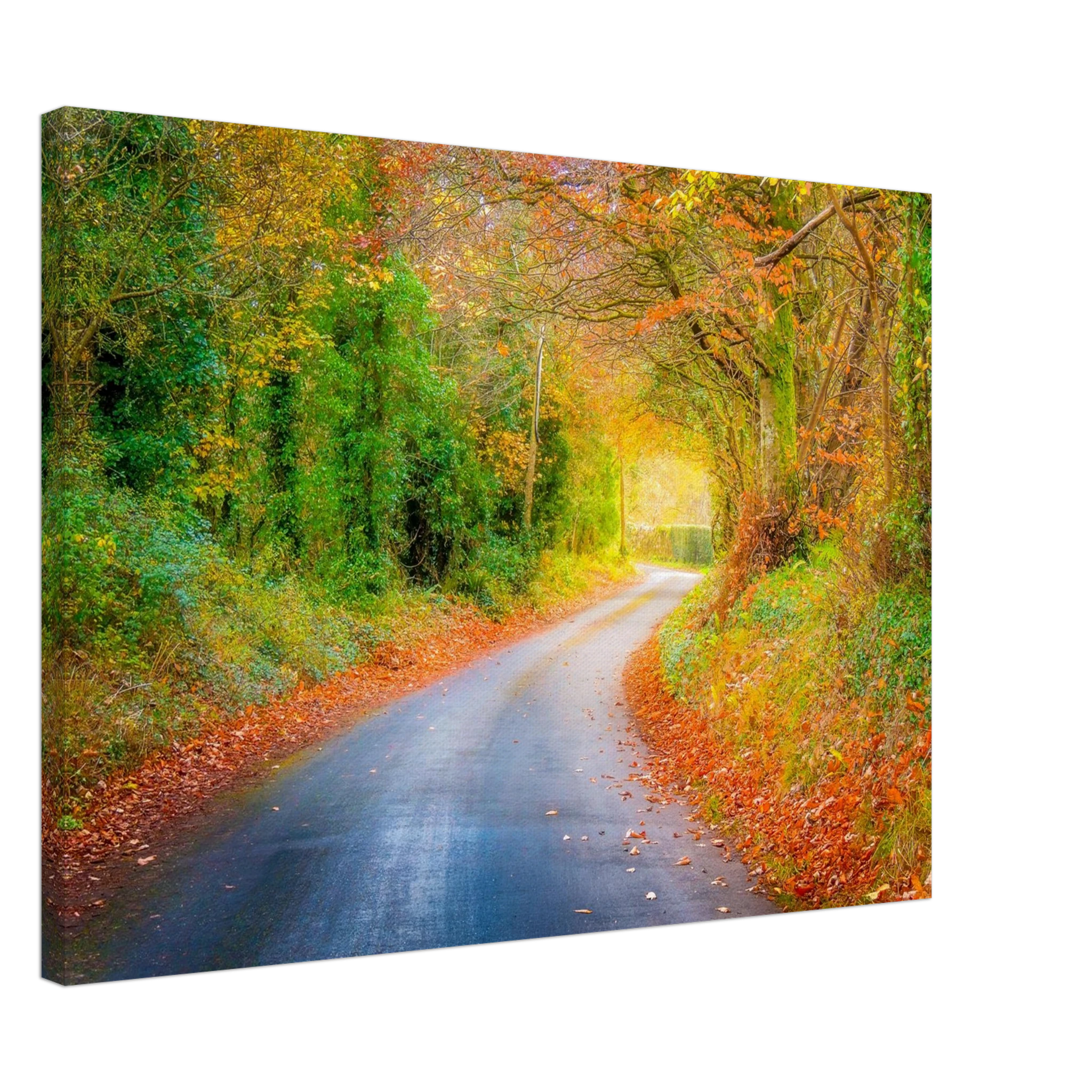 b711569a-1573-4693-b395-3fdeaf22da63