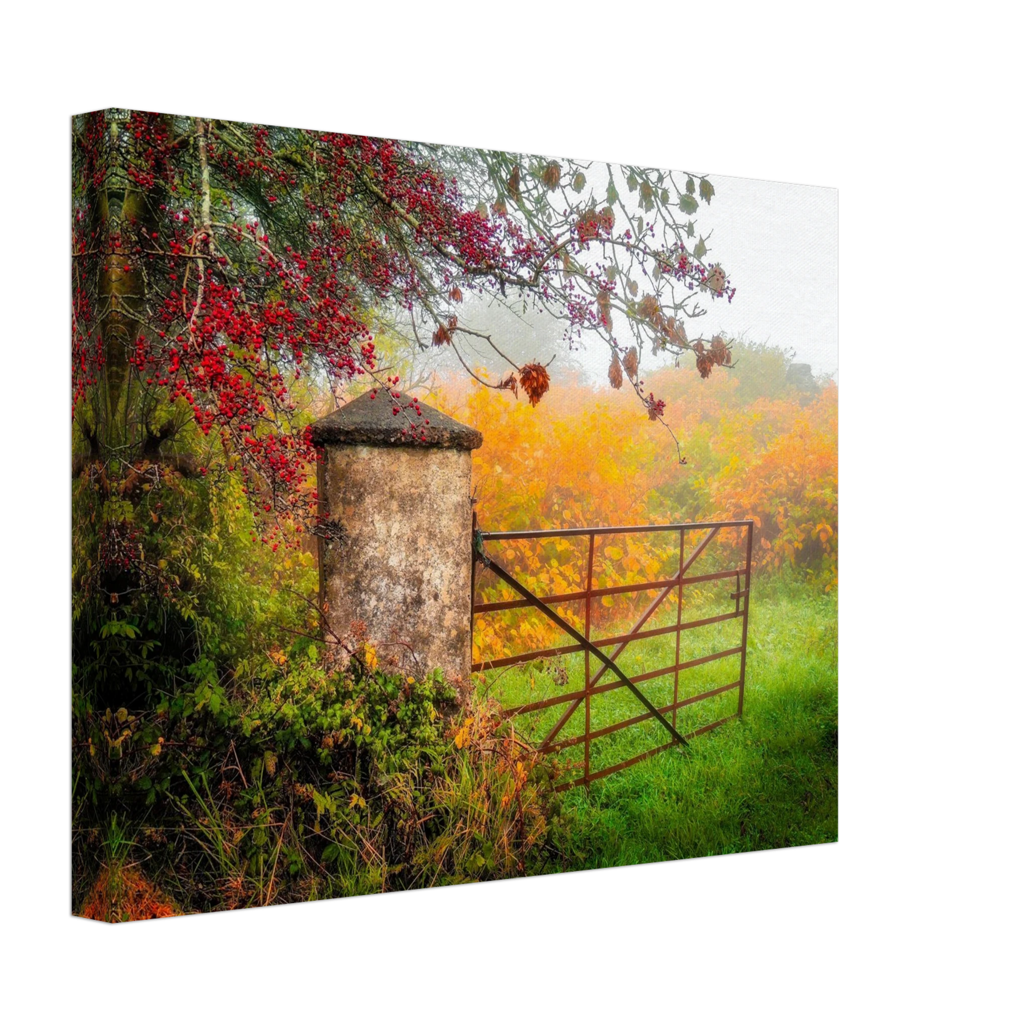 c068f6ee-797e-4e40-8d39-fdfaa86723aa