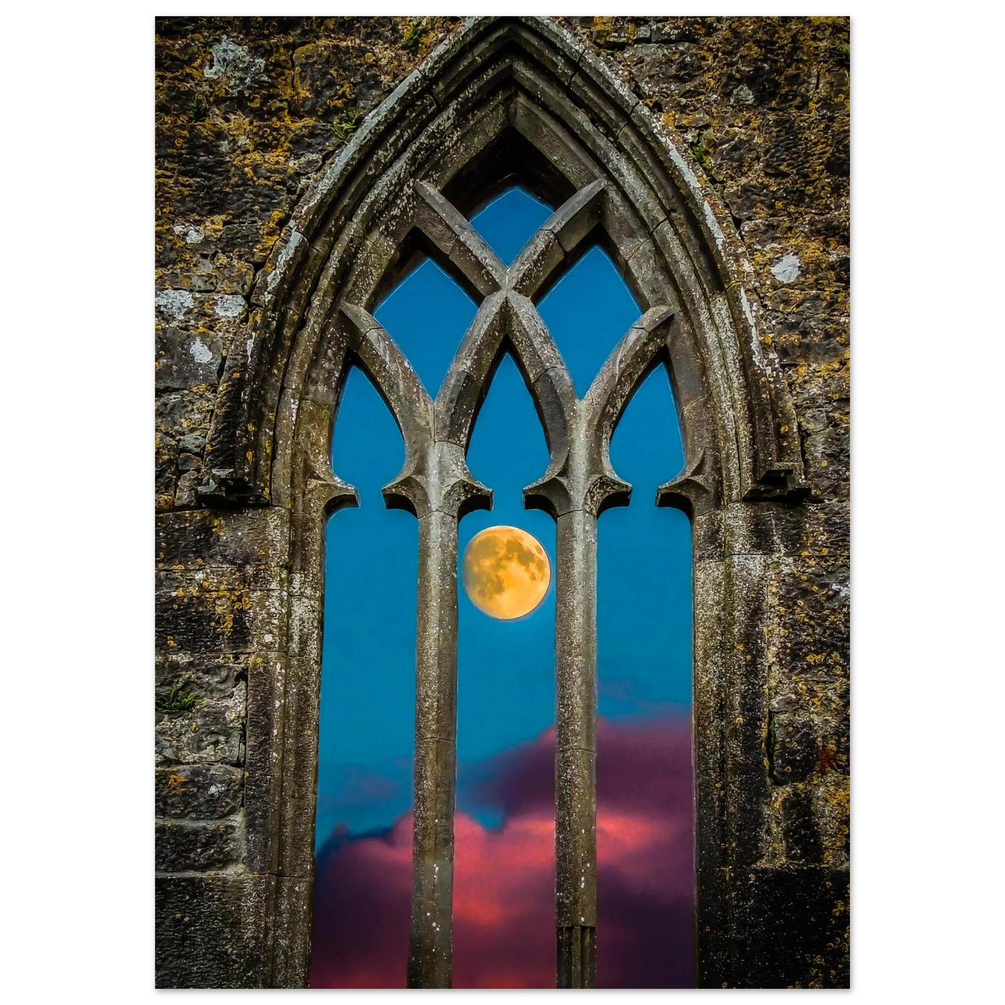 ce6d2c54-b019-414a-816b-3ca7efd1ed7b