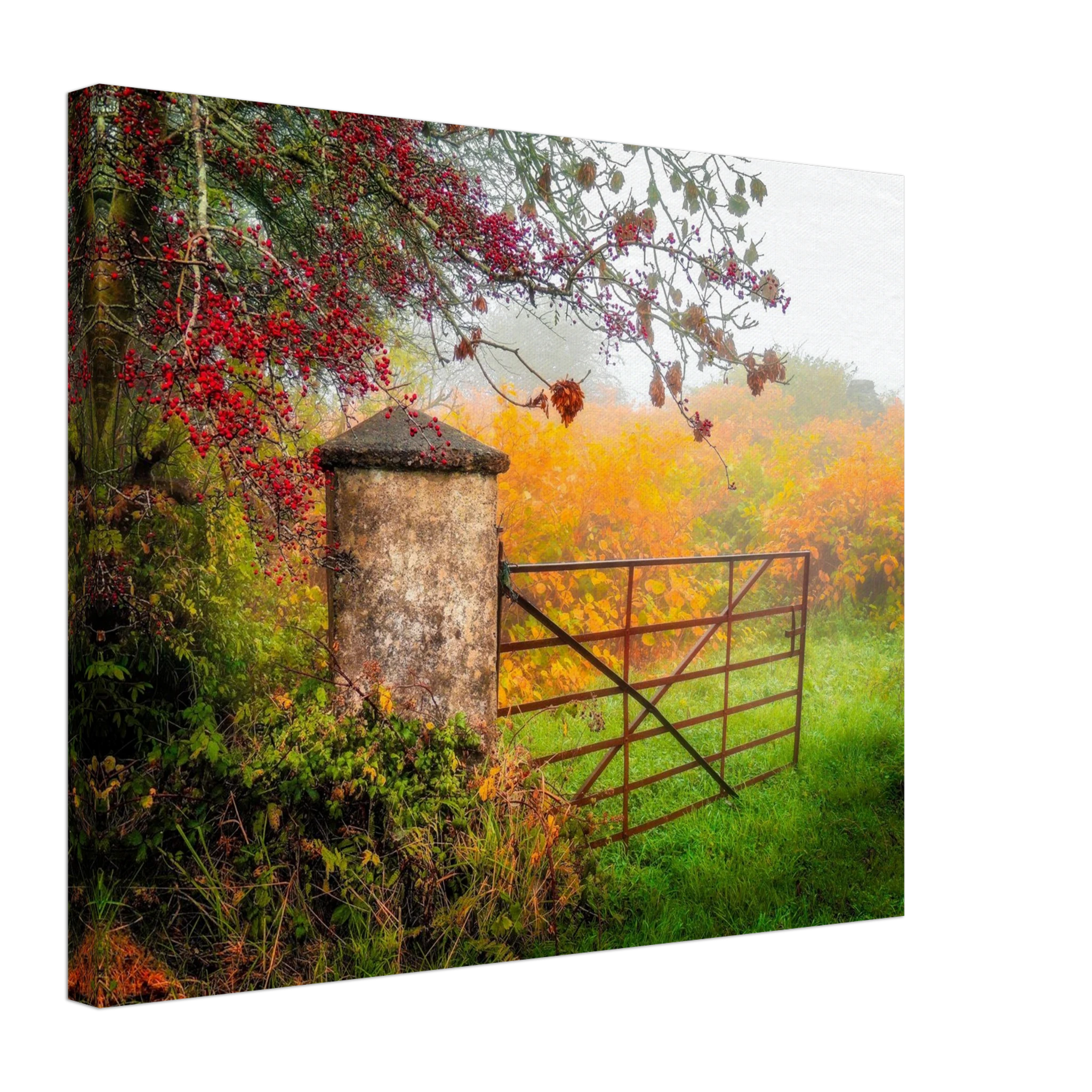 ddf8987a-911b-4528-94c4-b045fa2ed63e