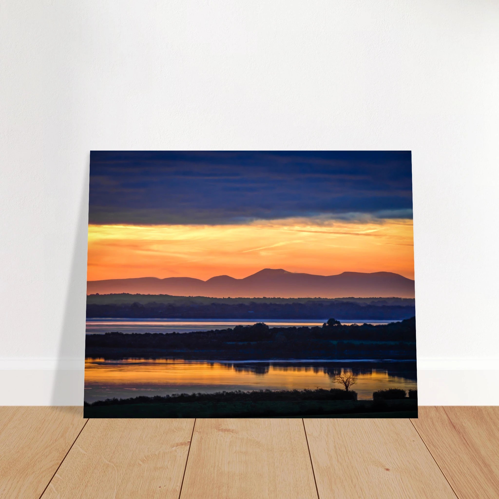 de106f5d-d3c3-483c-8bae-dc25e09b4d6e