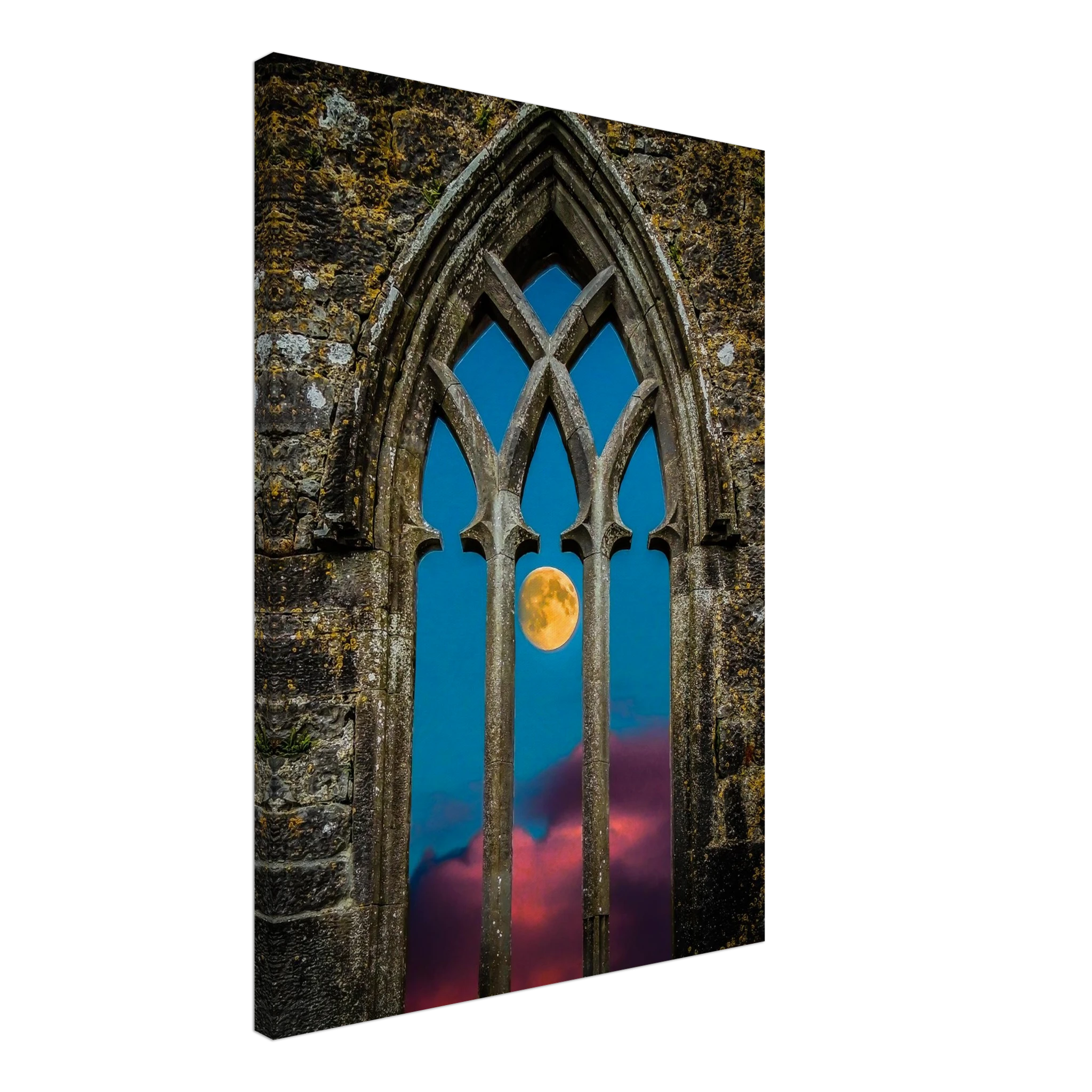 e8d44191-f89c-407e-8209-bdabba671d9d