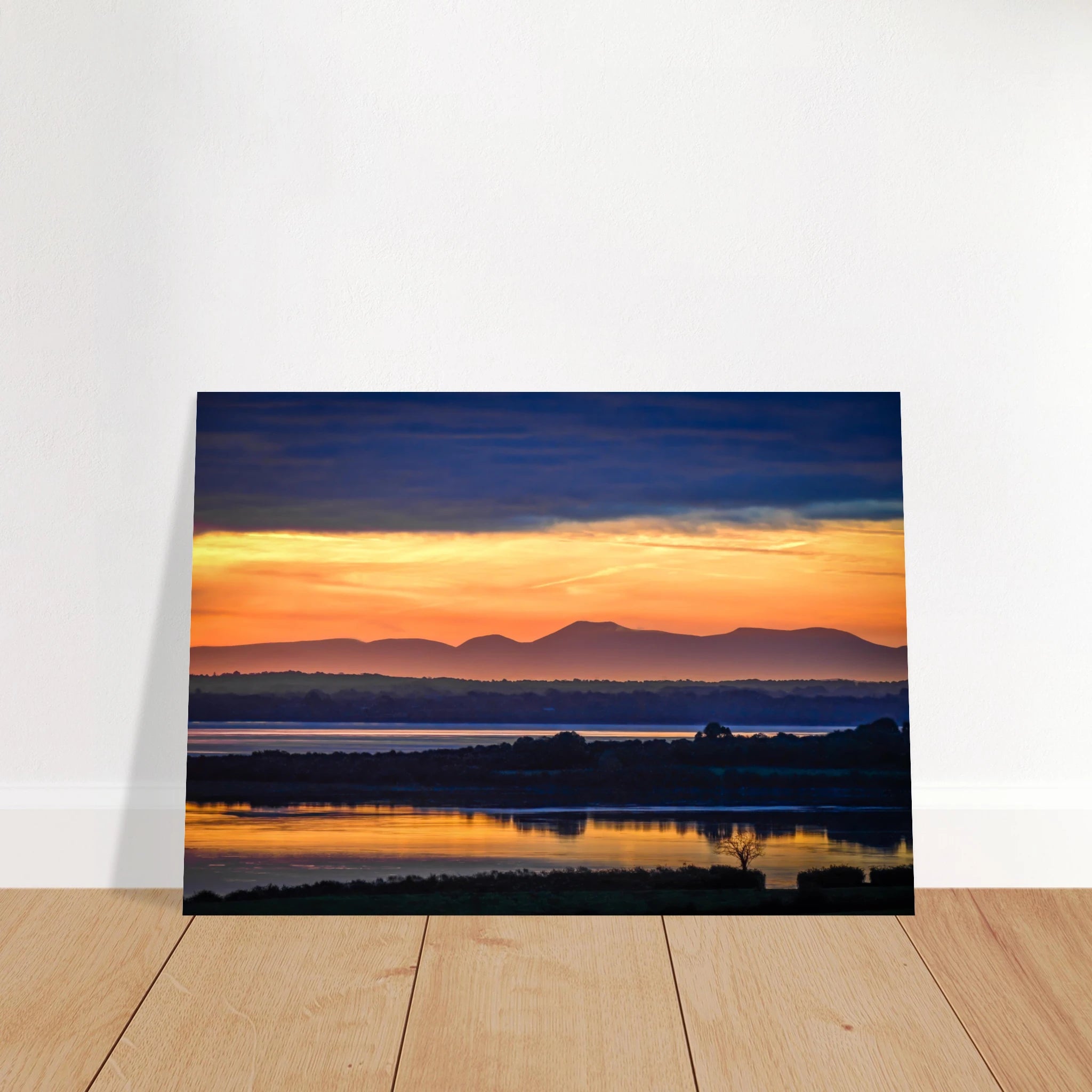 f654945f-3b98-4022-915b-4a9ba3021768