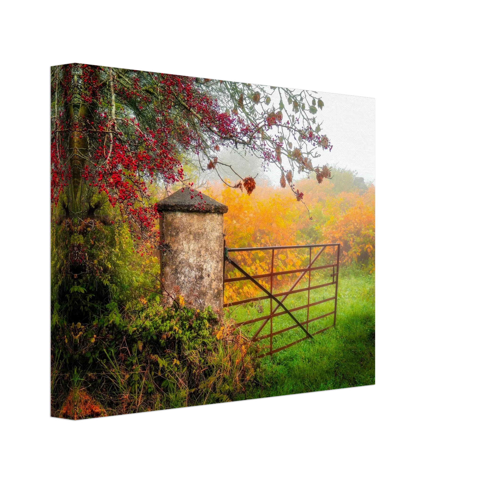 fd1ed287-c3ab-4c50-b757-bd8f6db368d3