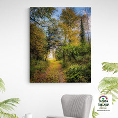 Canvas Wrap - Autumn Path to Paradise, County Clare - James A. Truett - Moods of Ireland - Irish Art