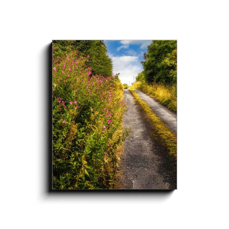 Canvas Wrap - Roadside Wildflowers at Kilkerin Point, County Clare - Moods of Ireland