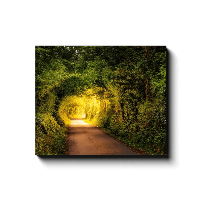Canvas Wrap - Green Tunnel in Lavalla, County Clare - James A. Truett - Moods of Ireland - Irish Art