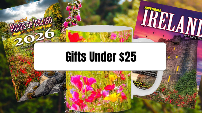 Gifts Under $25