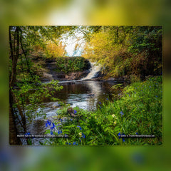 2025 Magical Irish Countryside Wall Calendar