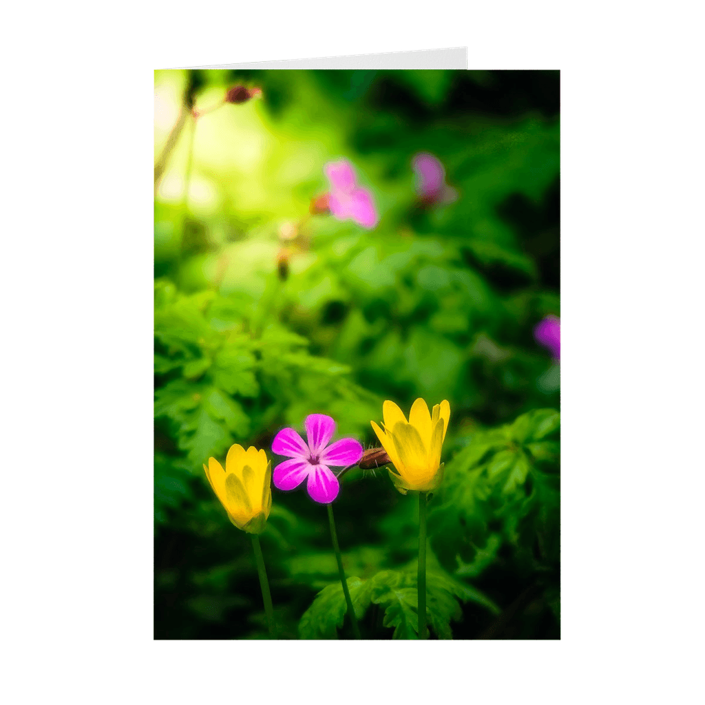 Irish Wildflowers Note Card Bundle (10 Cards)