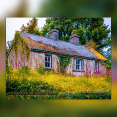 2025 Magical Irish Countryside Wall Calendar