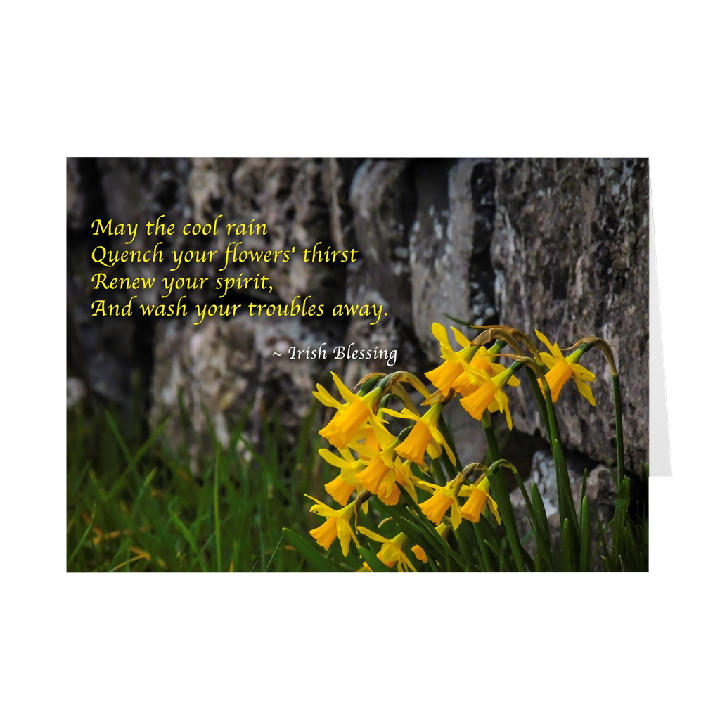 Irish Blessings & Proverbs Note Card Bundle (10 cards)