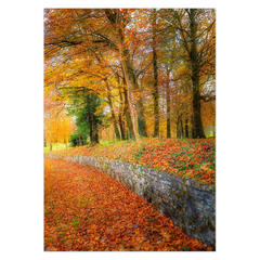 Folded Note Card - Autumn Colours in Killimer, County Clare