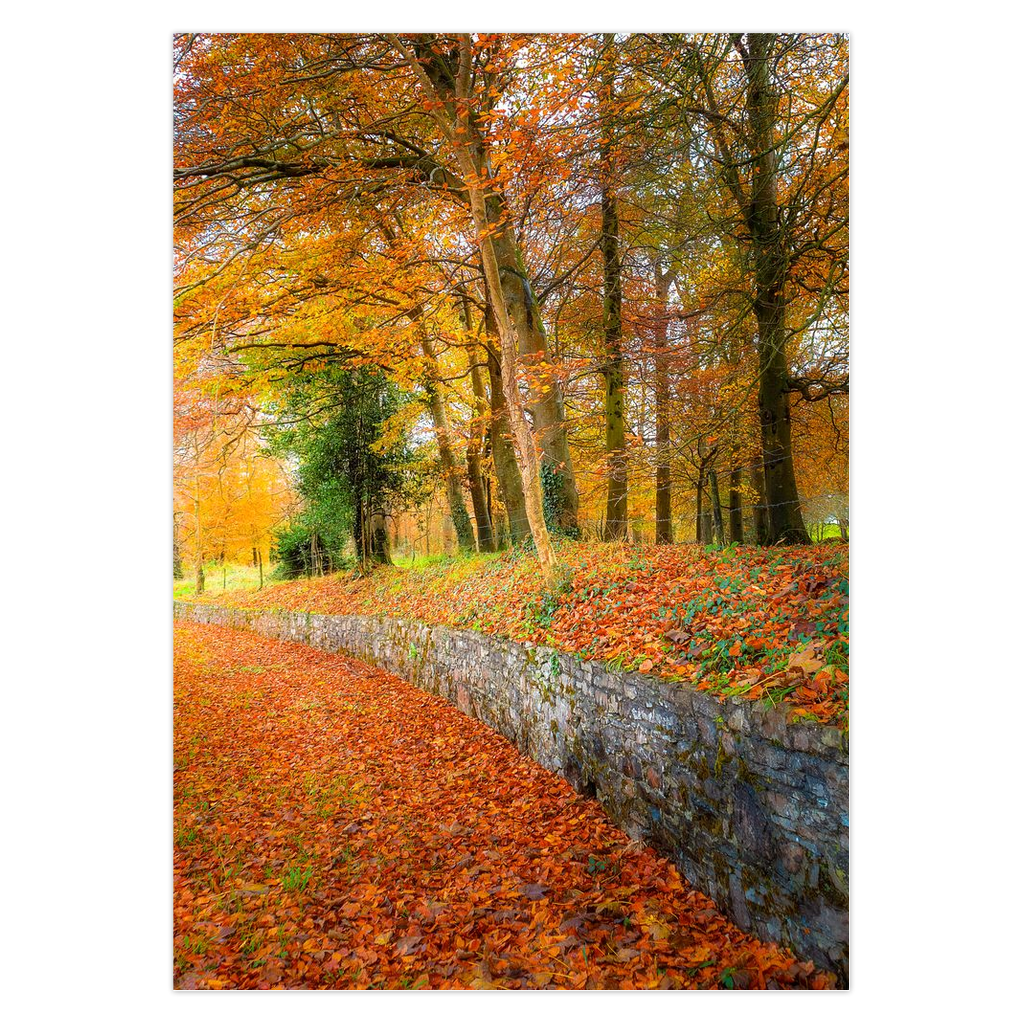 Magical Irish Autumn Note Card Bundle (10 cards)