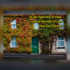 2025 Irish Blessings & Proverbs Wall Calendar