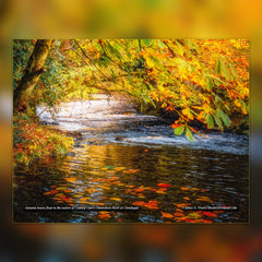 2025 Magical Irish Countryside Wall Calendar