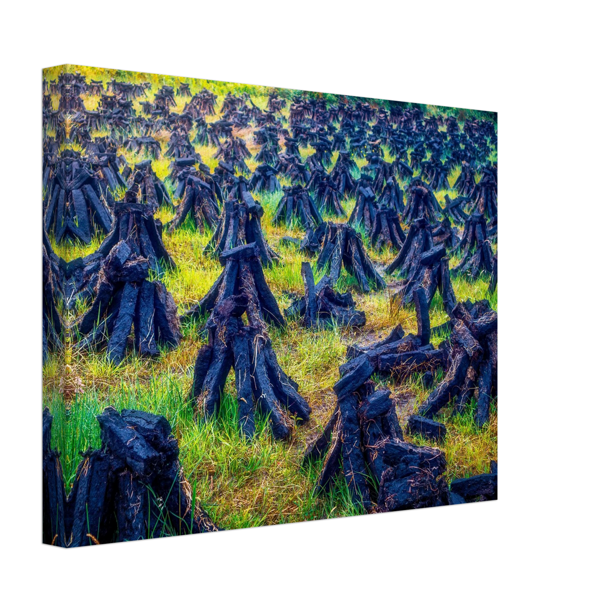 17683bc3-f256-40ce-bc71-7891a4d5c019