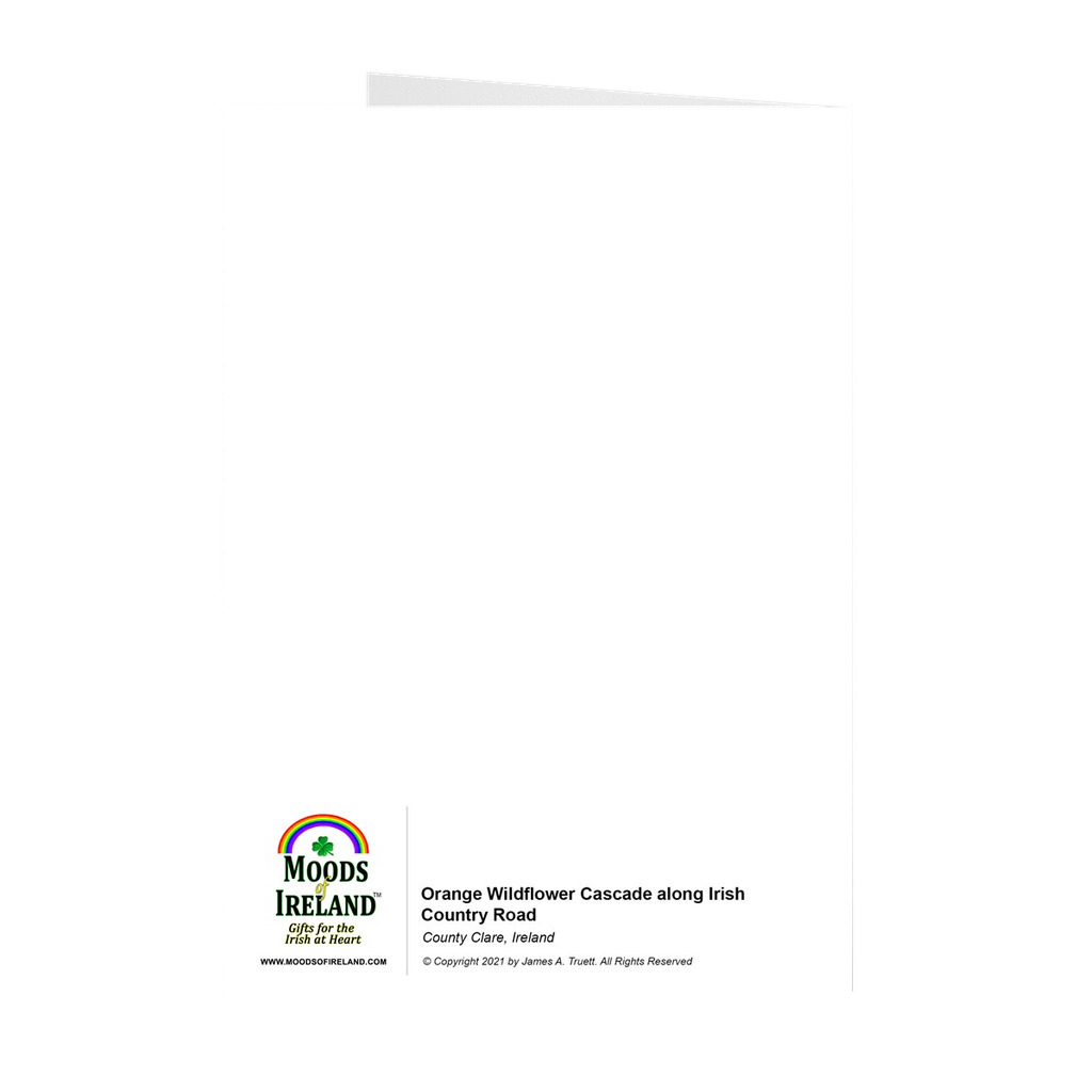 Irish Wildflowers Note Card Bundle (10 Cards)