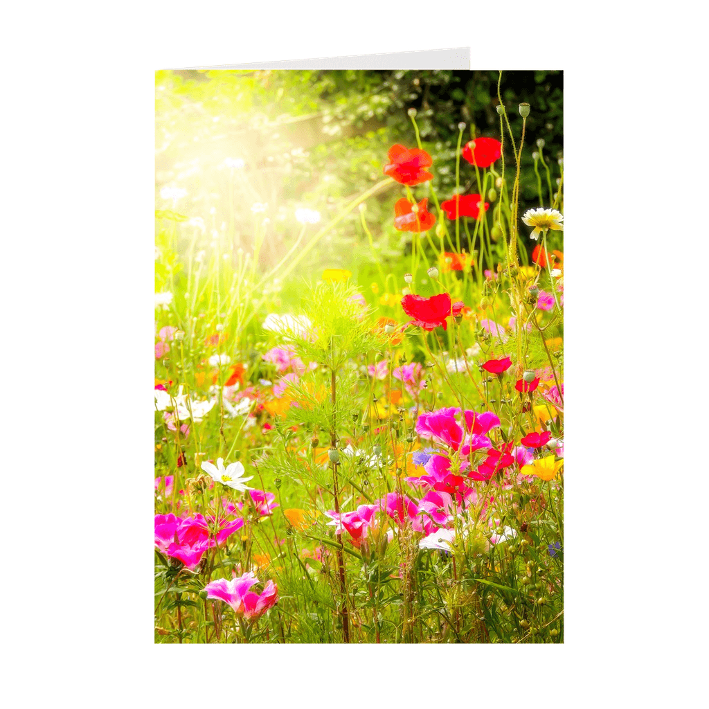 Irish Wildflowers Note Card Bundle (10 Cards)
