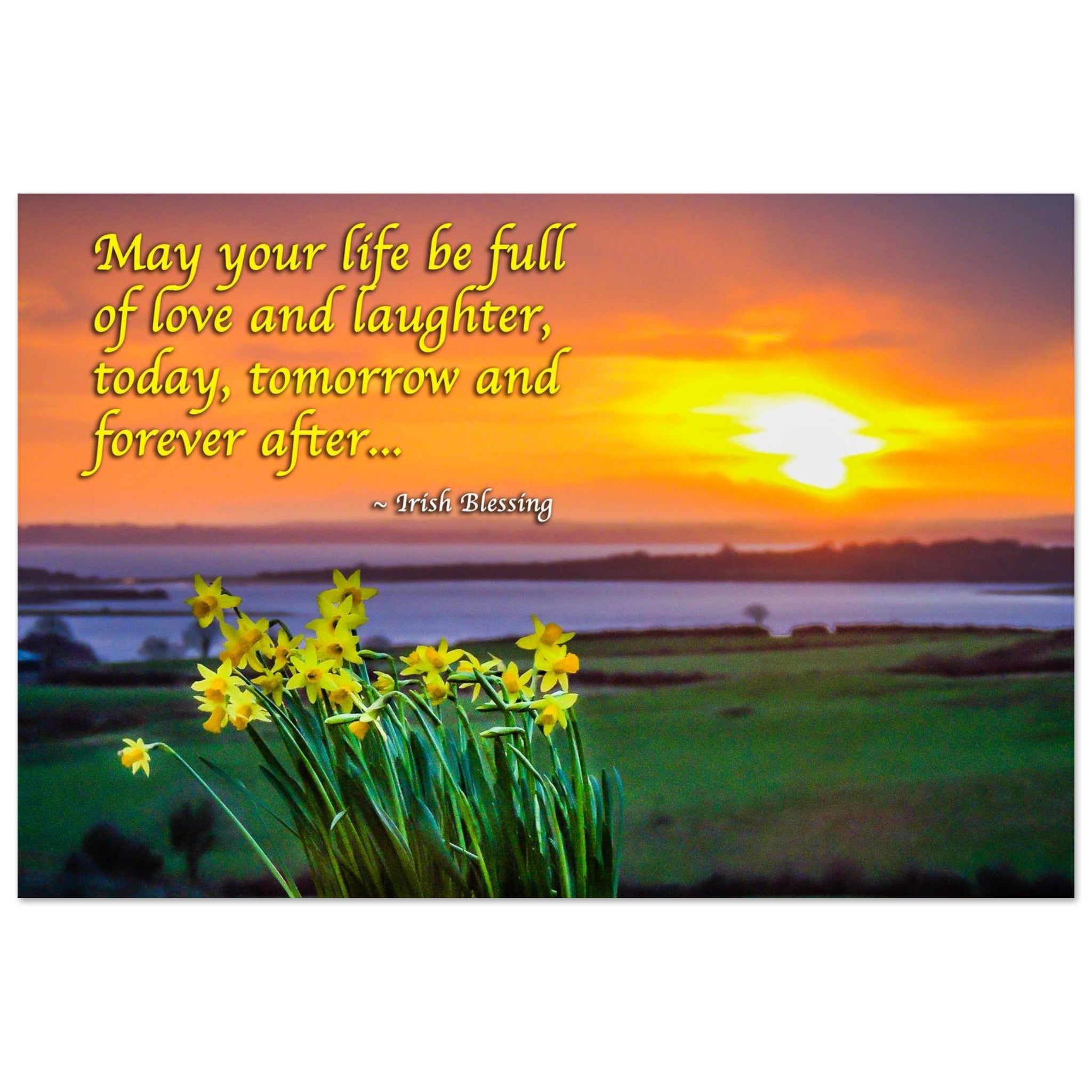 2178da14-2410-41bd-8fac-17768d2e977e