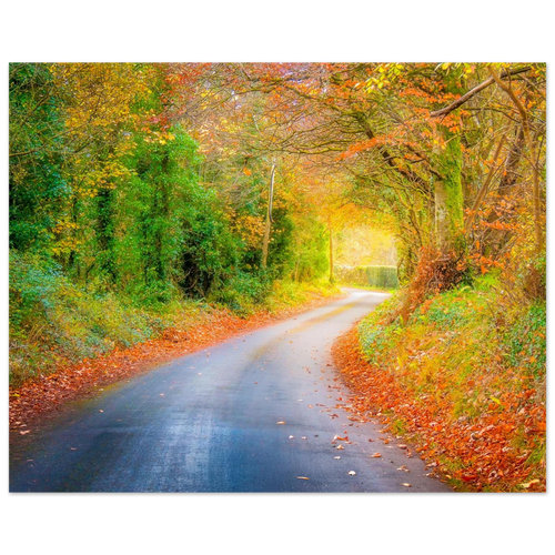 2531b018-aece-404f-892d-bdc600963bd2