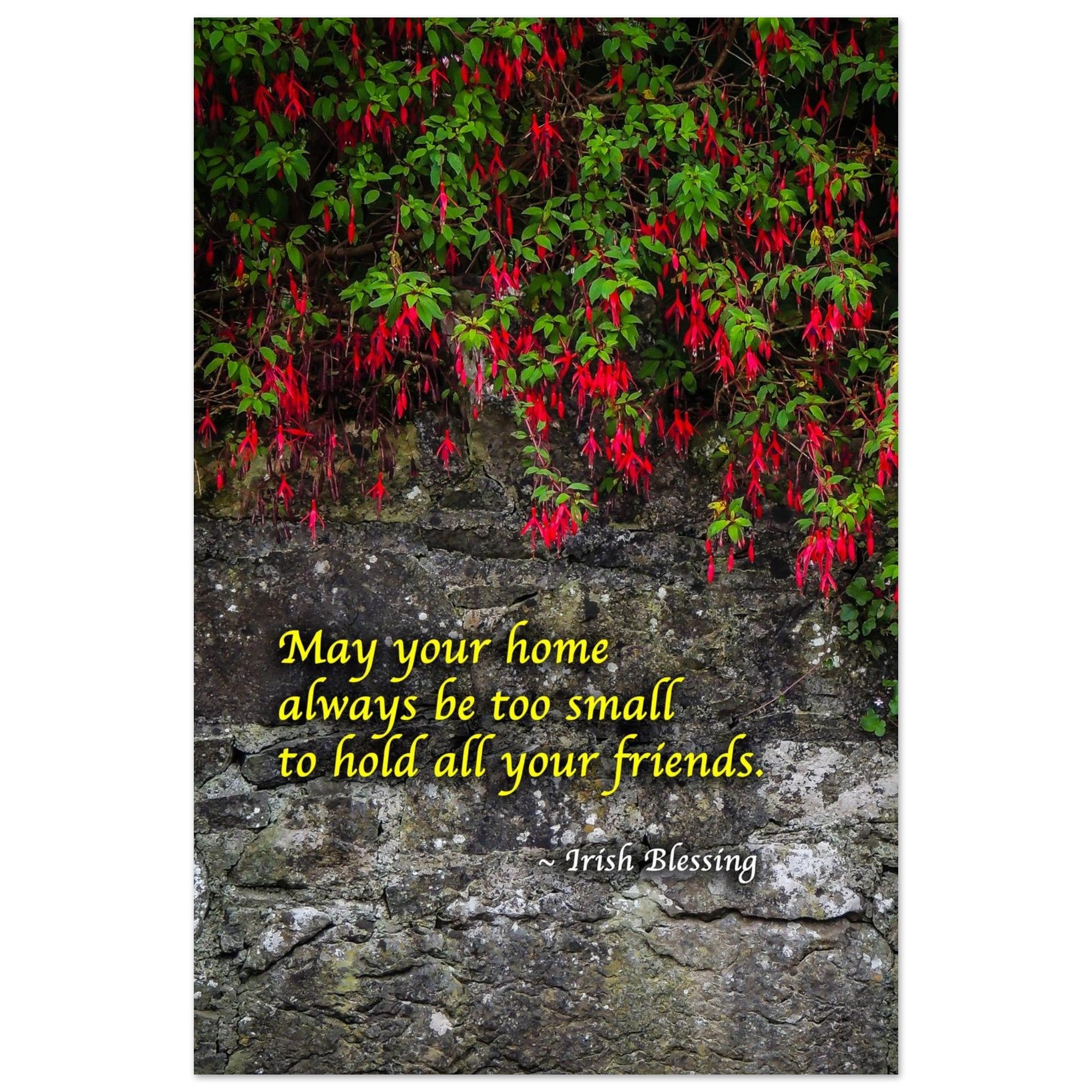 4693a4be-3073-46fa-a81b-2975e4df1b05