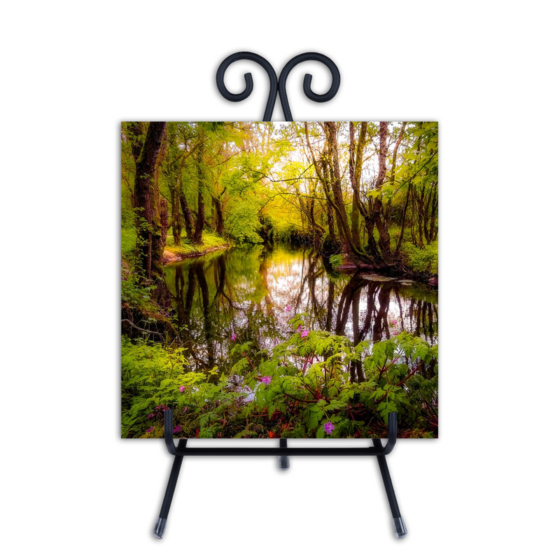 Photo Tiles - Faerie Forest Reflections at Thoor Ballylee