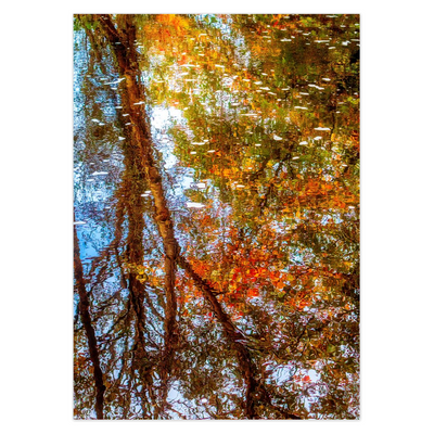 Folded Note Card - Autumn Faerie Forest Reflections, County Galway