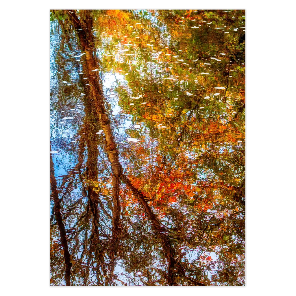 Magical Irish Autumn Note Card Bundle (10 cards)