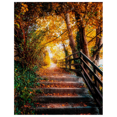 Print - Autumn Path at Ennistymon Cascades, County Clare