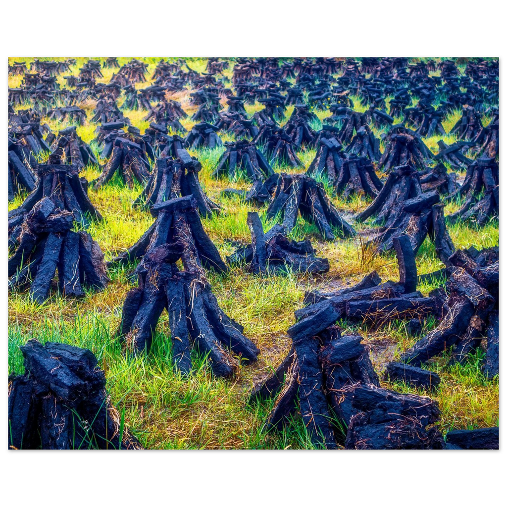 548e5dfc-b473-4932-95c2-81d0d240eda4