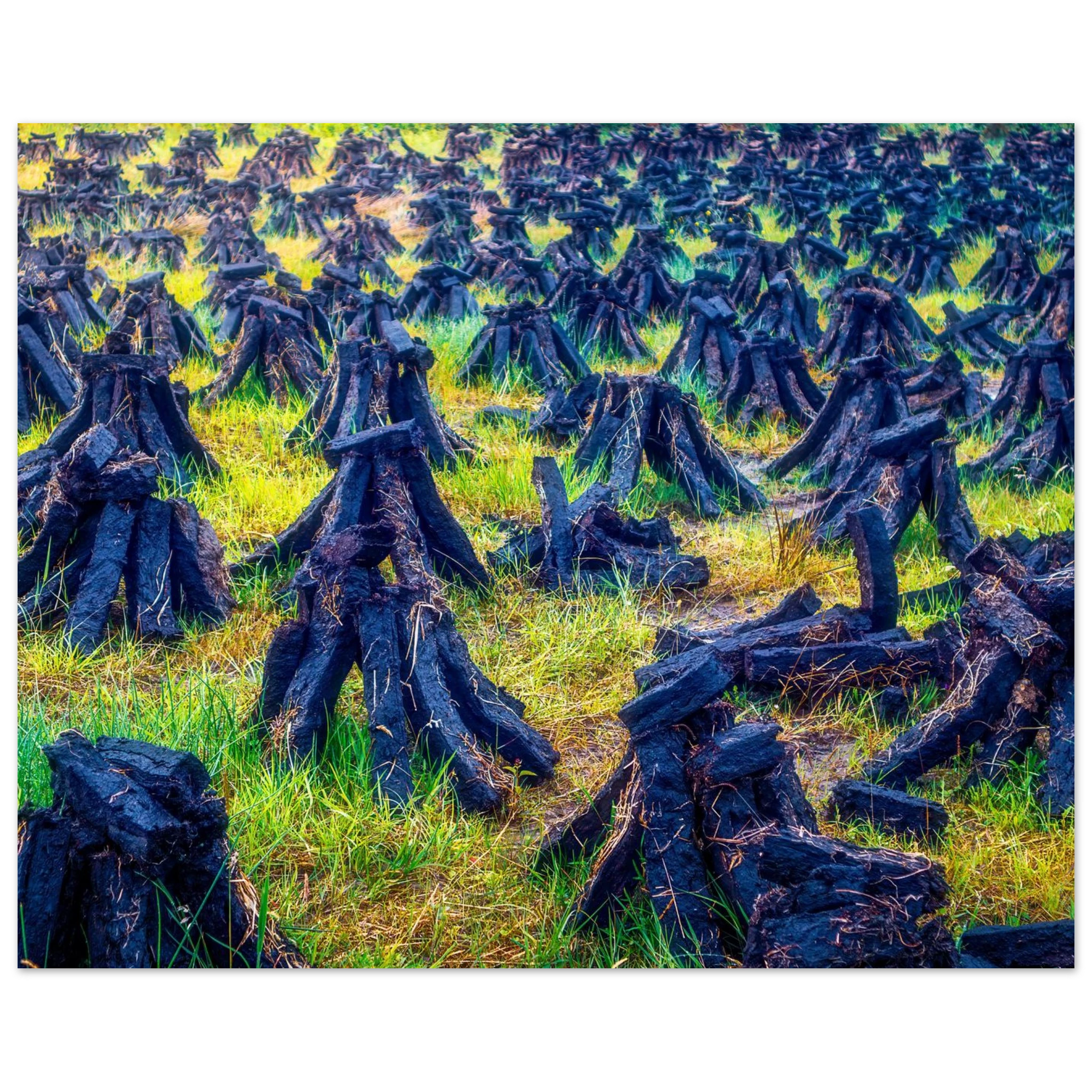 548e5dfc-b473-4932-95c2-81d0d240eda4