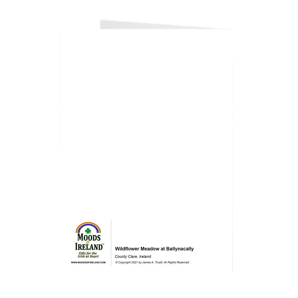 Irish Wildflowers Note Card Bundle (10 Cards)