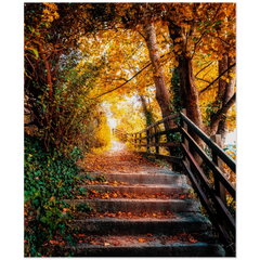 Print - Autumn Path at Ennistymon Cascades, County Clare