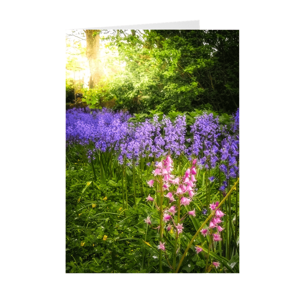 Irish Wildflowers Note Card Bundle (10 Cards)