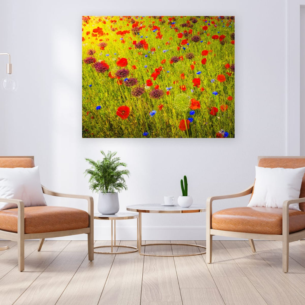 Poppies and Wildflower Meadow (Limited Edition)