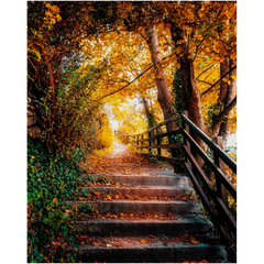 Print - Autumn Path at Ennistymon Cascades, County Clare