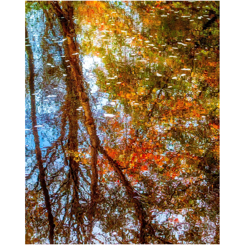 Print - Autumn Faerie Forest Reflections