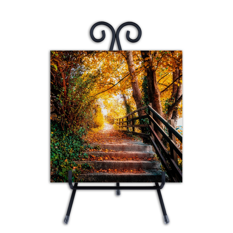 Photo Tiles - Autumn Path at Ennistymon Cascades, County Clare